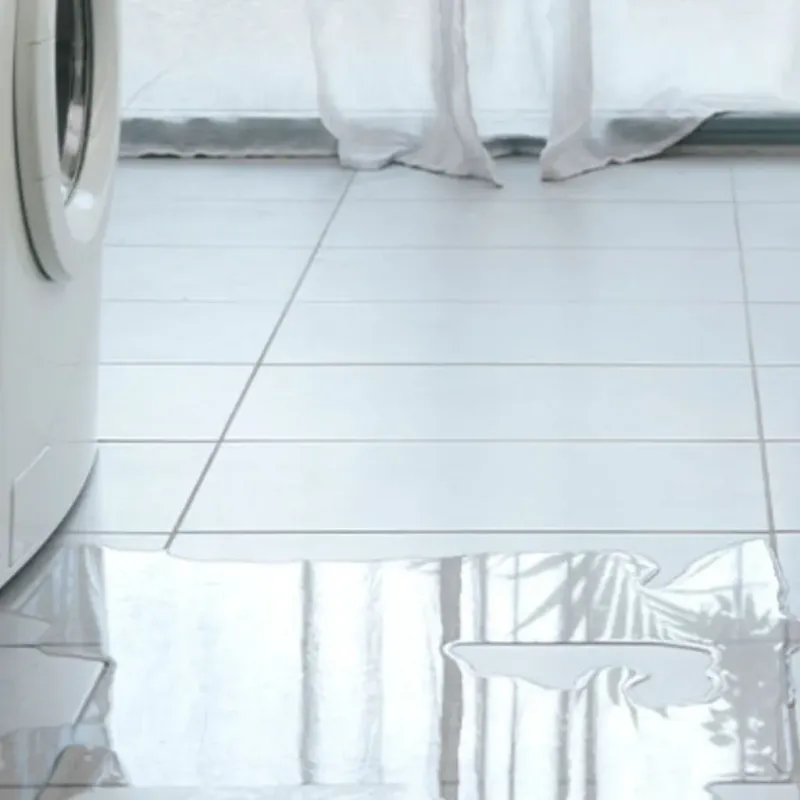 Appliance Leak Cleanup in Stone Mountain, GA